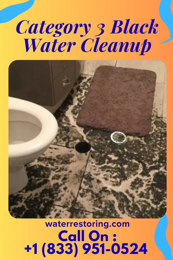 Category 3 Black Water Cleanup in Knox, PA