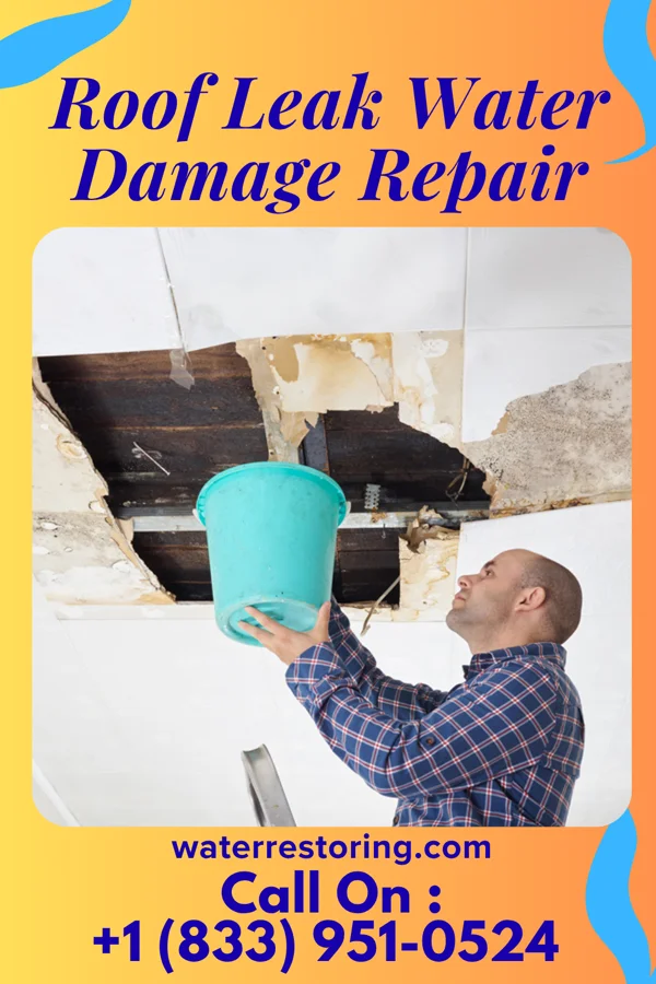 Roof Leak Water Damage Repair in Knox, PA