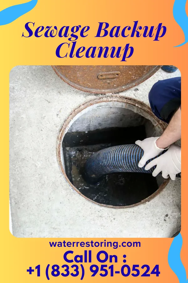 Sewage Backup Cleanup in Knox, PA