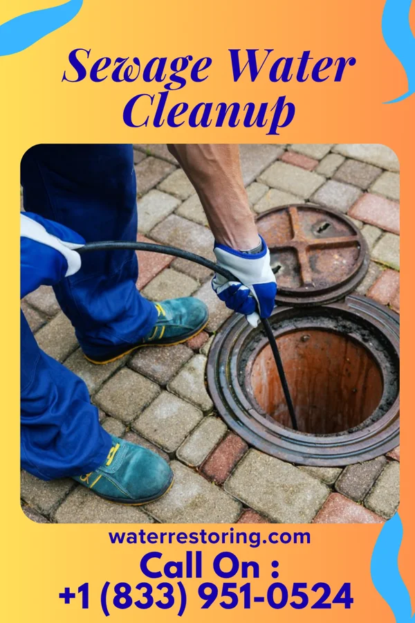 Sewage Water Cleanup in Knox, PA