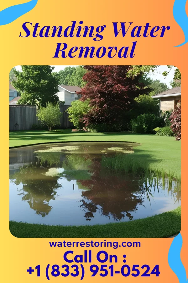 Standing Water Removal in Knox, PA